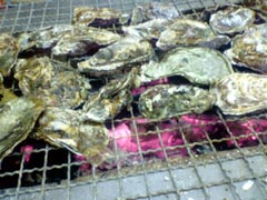 牡蛎食い放題